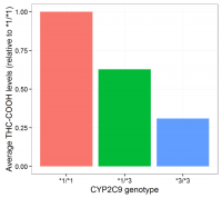 DNA,THC,Metabolism