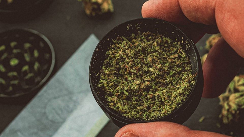 Close up image of a weed grinder with grinded weed inside and paper roll in the background
