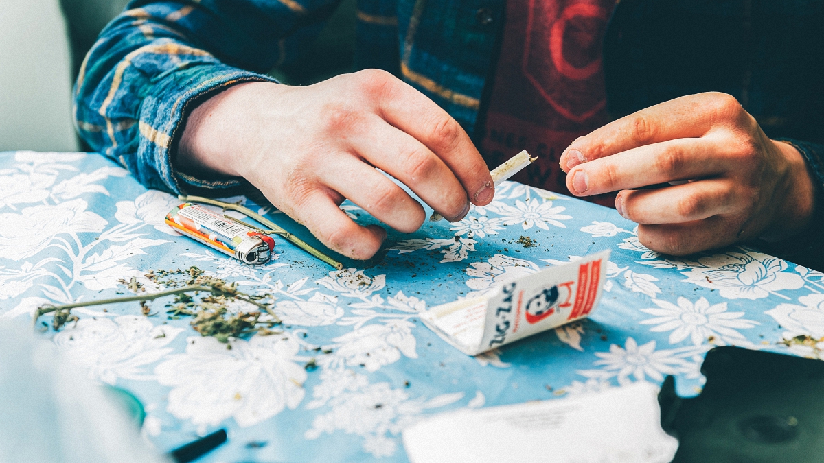 A man packing a marijuana paper joint with grinded weed buds on the table