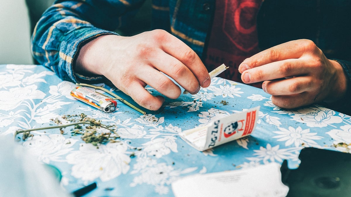 A man packing a marijuana paper joint with grinded weed buds on the table