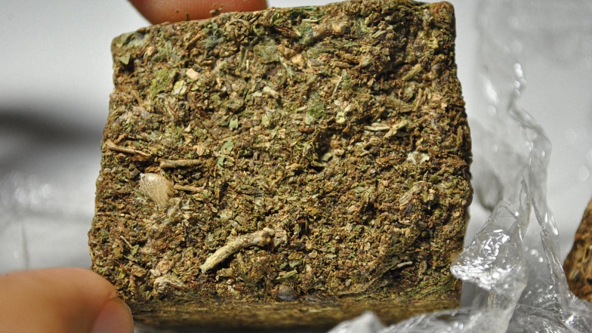 Close up image of brick weed