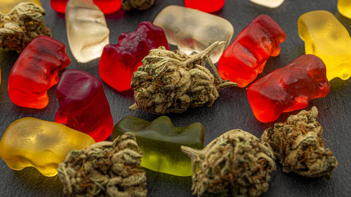 Cannabis buds and yellow and red gummies