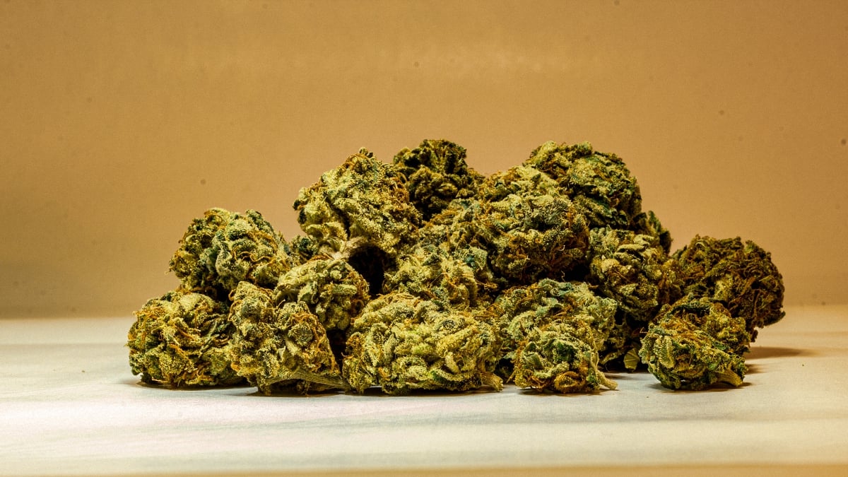 Close up of a pile of marijuana buds straight on product shot. The buds are bright green with red/orange hairs. Pineapple Express.