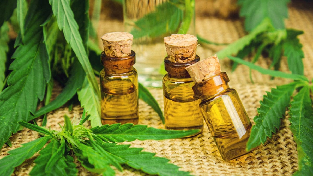 Marijuana tinctures inside three glass bottles surrounded by cannabis leaves