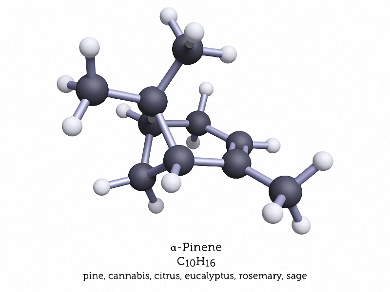 chemistry of alpha-pinene