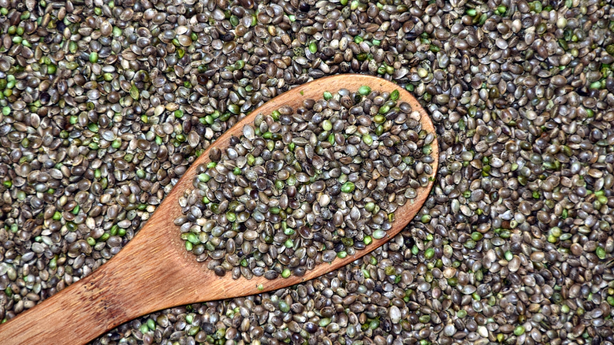 Image of a wooden spoon scooping autoflowering seeds