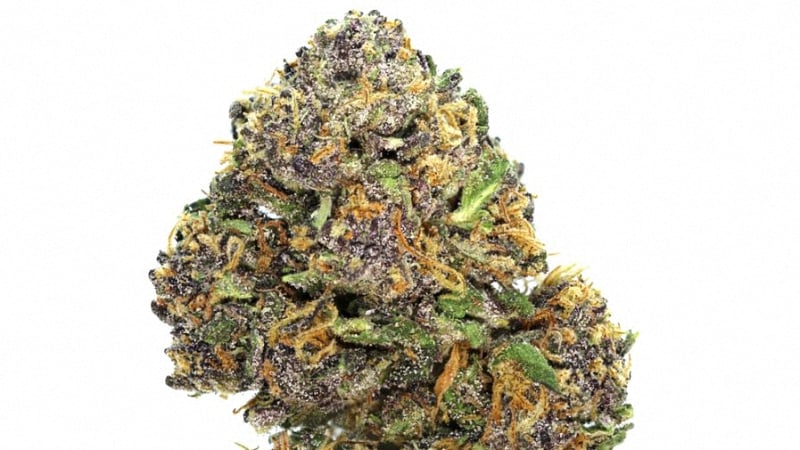 Close up image of hindu kush cannabis bud