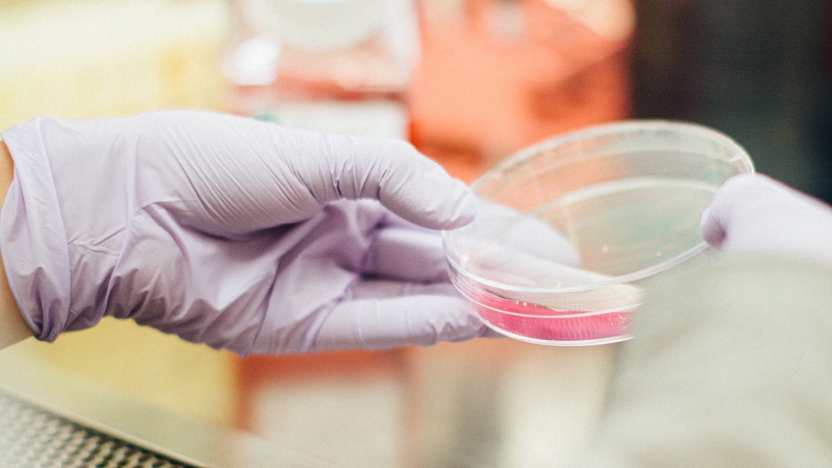 Hand in purple glove holding a glass testing 