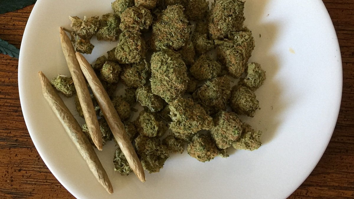 A white plate holding multiple cannabis paper joints and buds