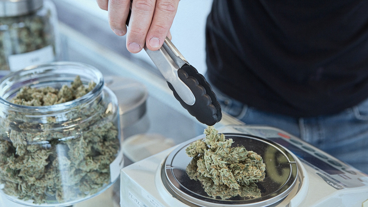Person weighing canabis buds on a scale next to a glass jar full of cannabis buds