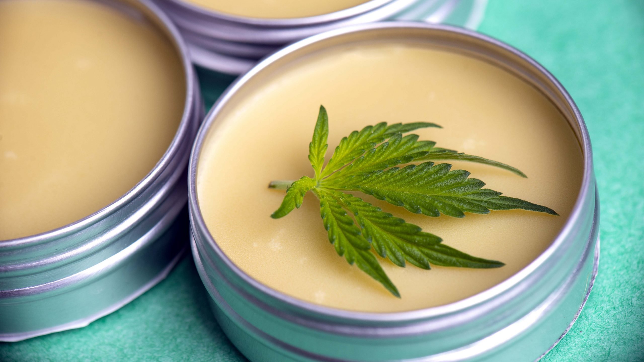 Cannabis salve with hemp and CBD oil and marijuana leaves on green background