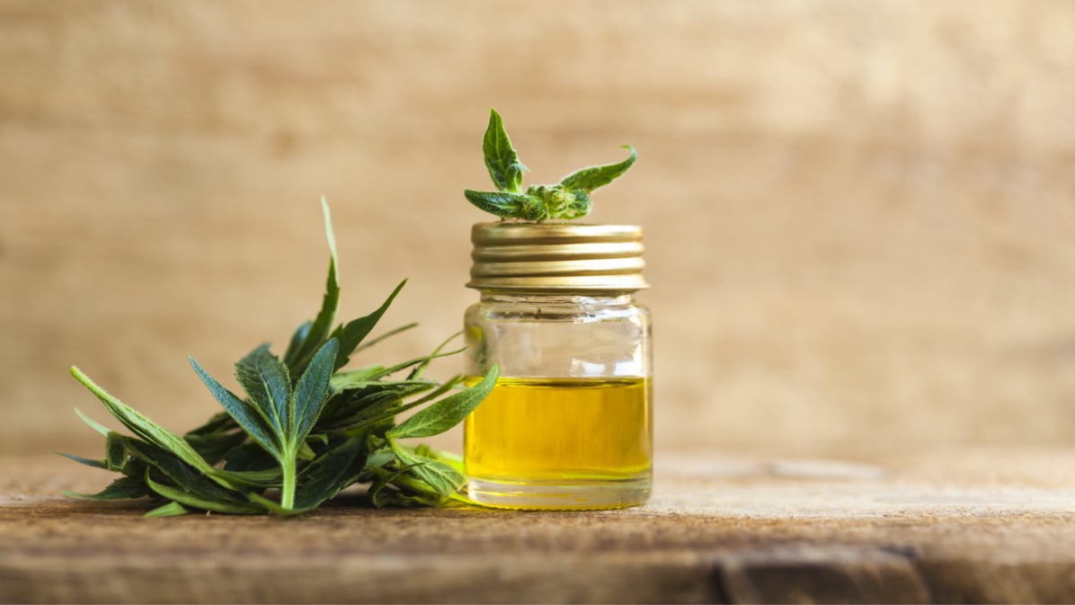 cbd extract oil in a glass jar next to a hemp leaf 