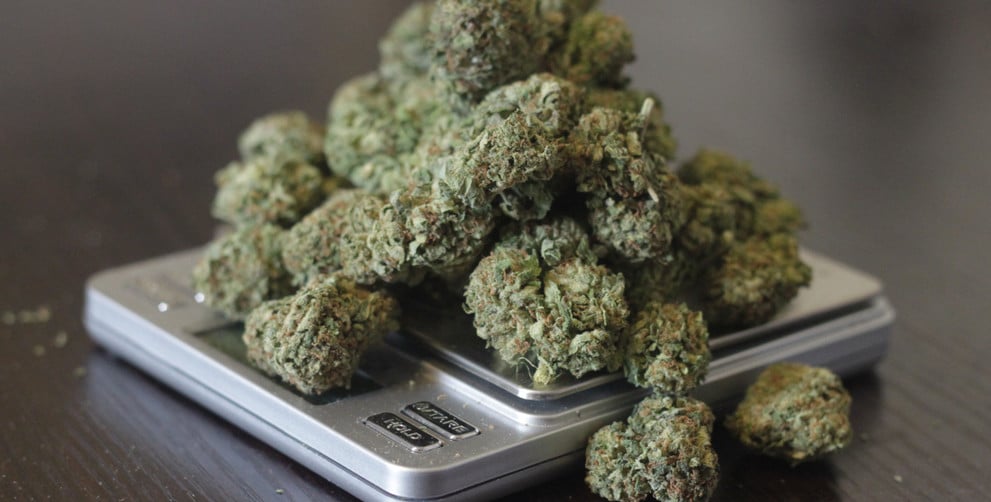 How Many Grams in an Ounce, Eighth, & Quarter of Weed? - Weed News