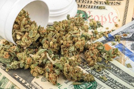 How To Make Money Selling Marijuana 10 Kush Commandments How To Make Money Selling Marijuana 10 Kush Commandments