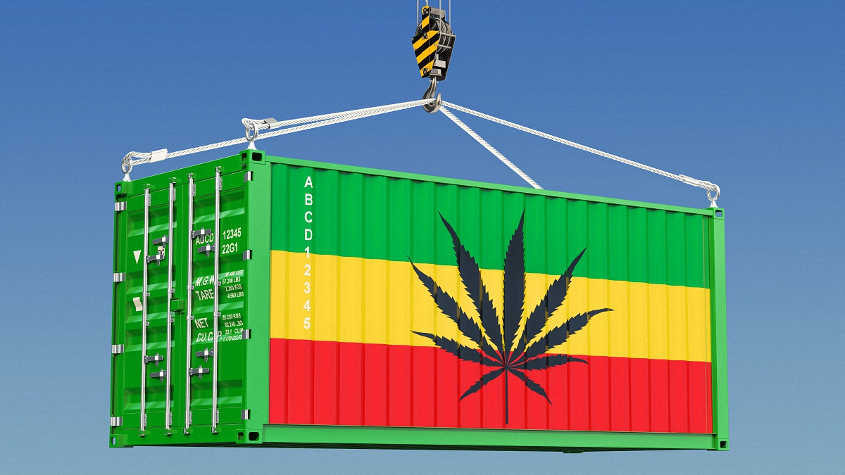 Image of of a shipping container with cannabis icon