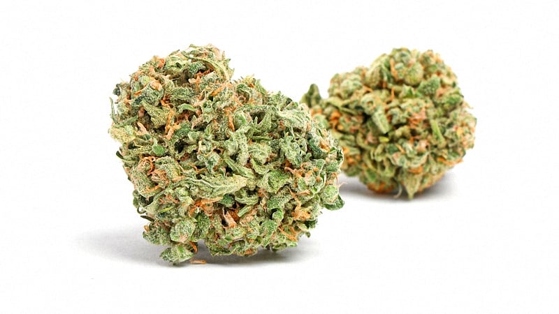 Blue Dream buds in a white background