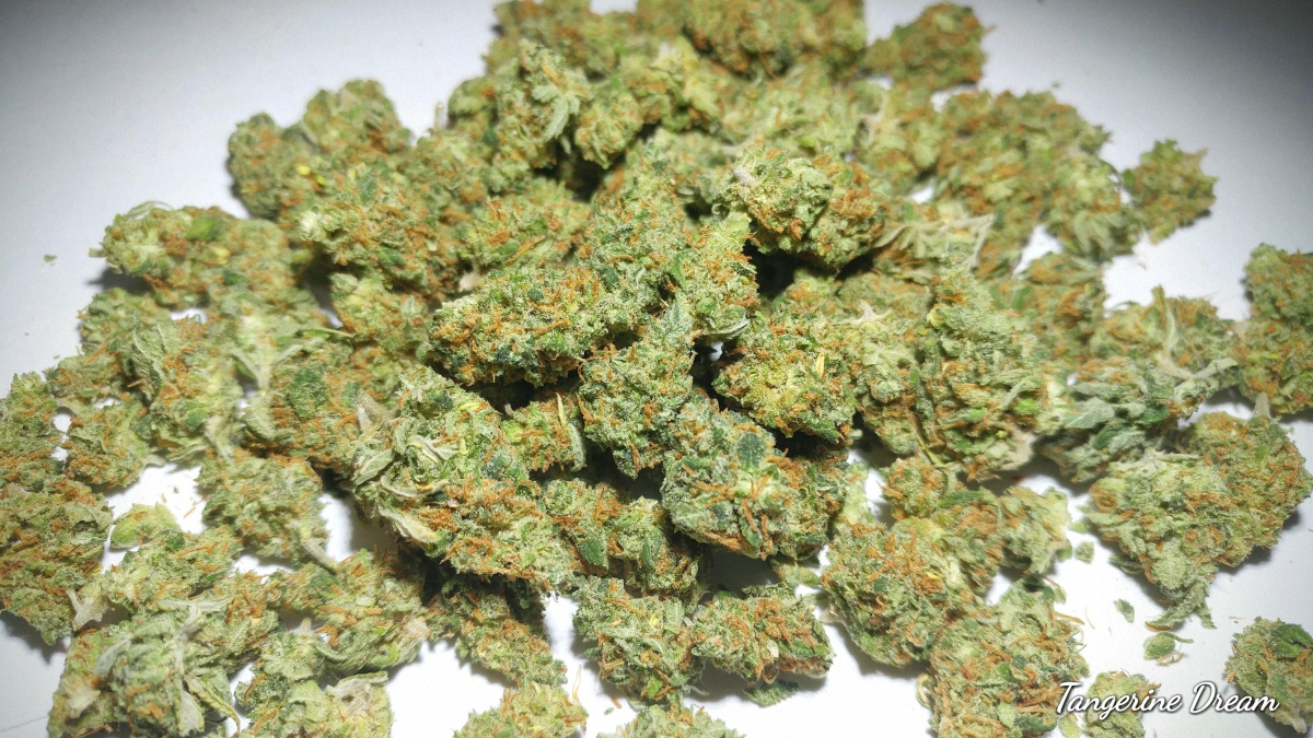 Popcorn Weed A LessIntense High At A Much Lower Cost LaptrinhX / News