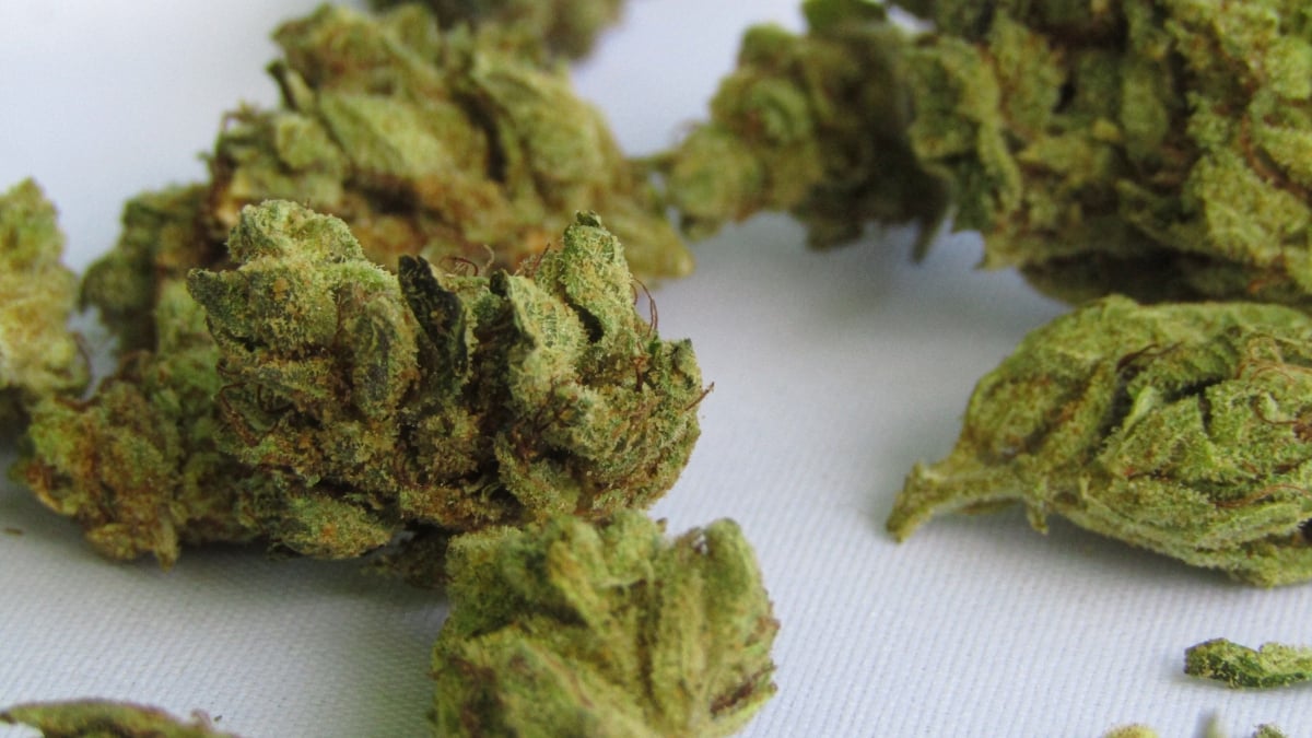 Popcorn Weed: A Less-Intense High At A Much Lower Cost - Weed News