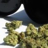 Cannabis buds spilled out from a black plastic medicine holder in a white background