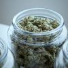 Three glass jar full of cannabis buds on a white table and grey background