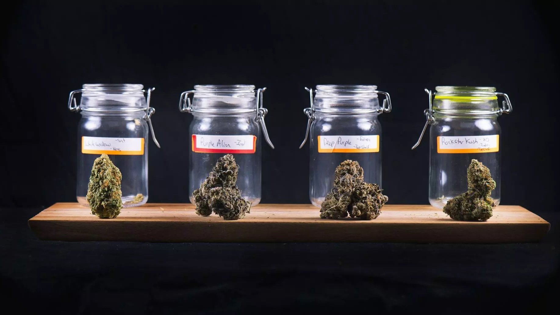 four glass jars containing cannabis buds in a black background