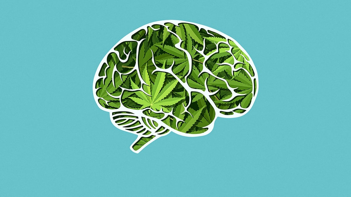 illustration of a brain filled with cannabis leaves