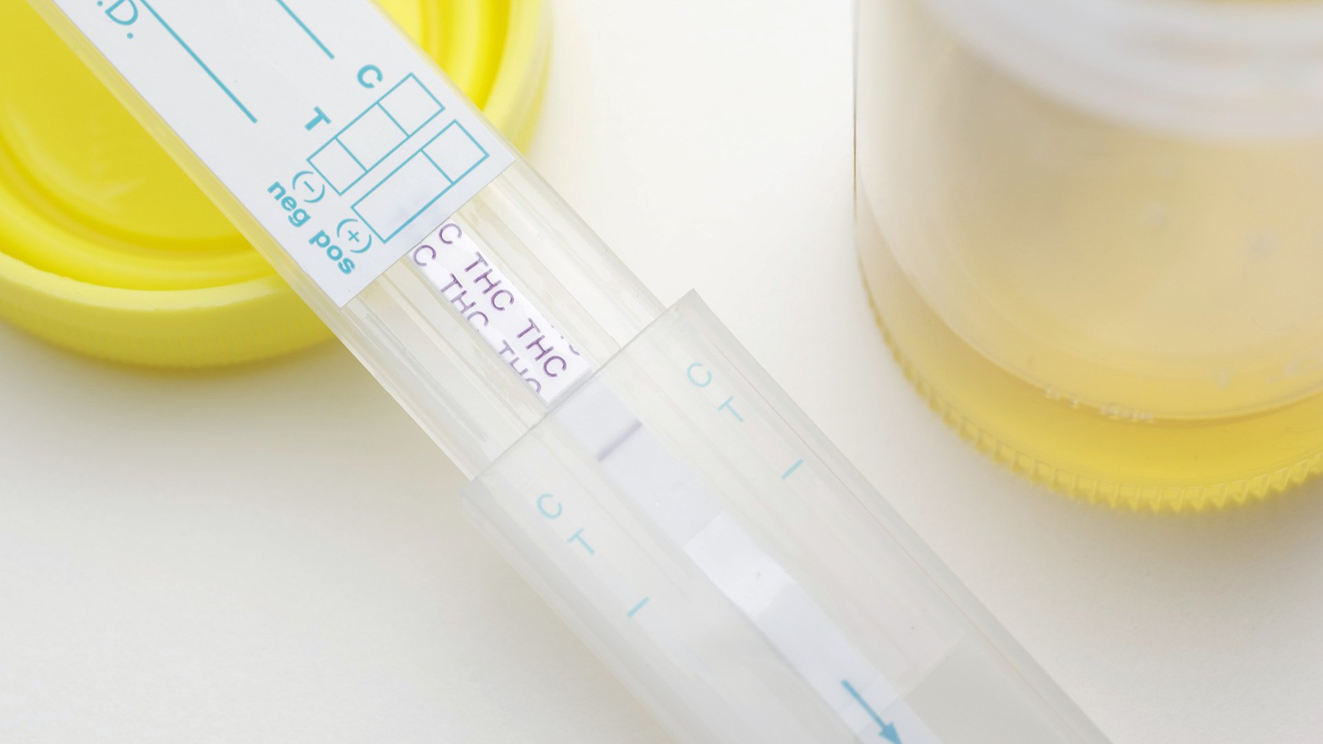 Drug testing urine sample for thc