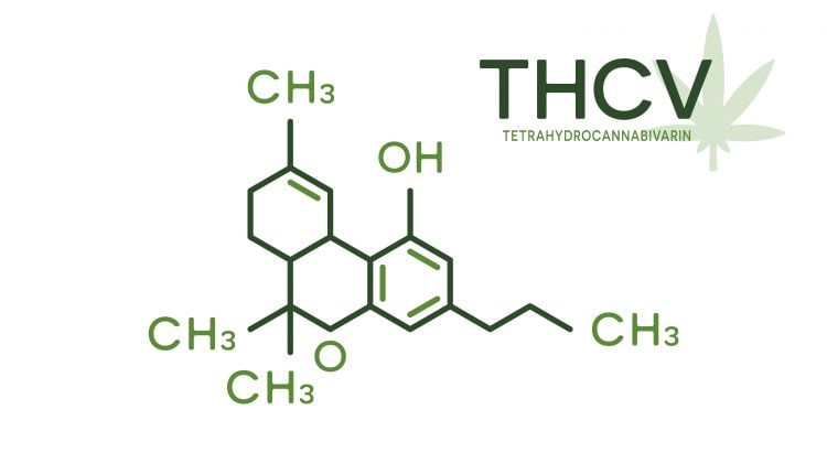 Vector illustration flat design of THCV molecular formula. Tetrahydrocannabivarin molecule structure on white background.