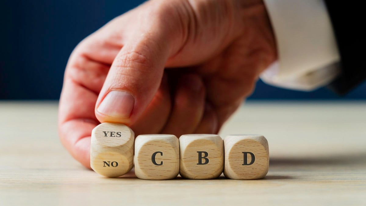 Four pieces of wooden dice forming the word yes or no for CBD