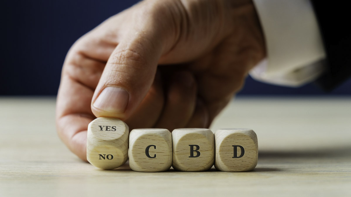 Four pieces of wooden dice forming the word yes or no for CBD