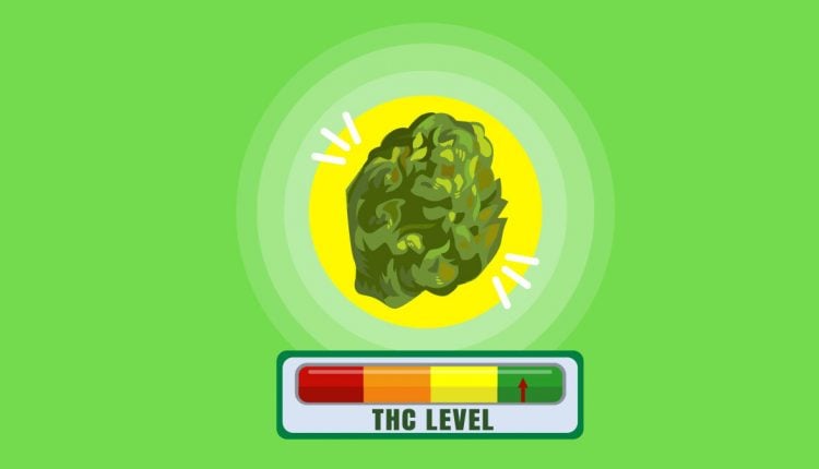 Illustration of marijuana bud and a scale indicating high THC content