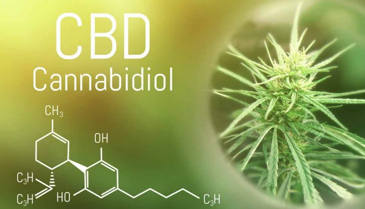 Best CBD Oil For High Blood Pressure Hypertension In 2021
