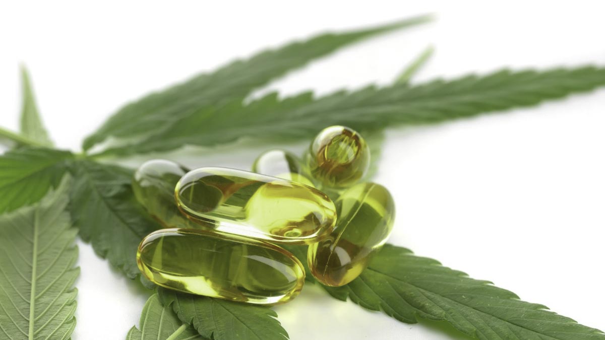 CBD softgels on top of hemp leaves