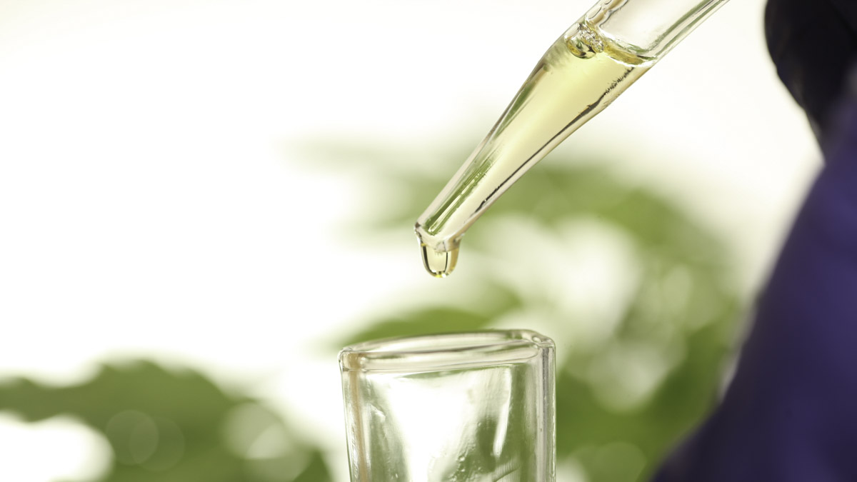 Scientist wearing purple gloves dosing cbd oil inside a glass tube