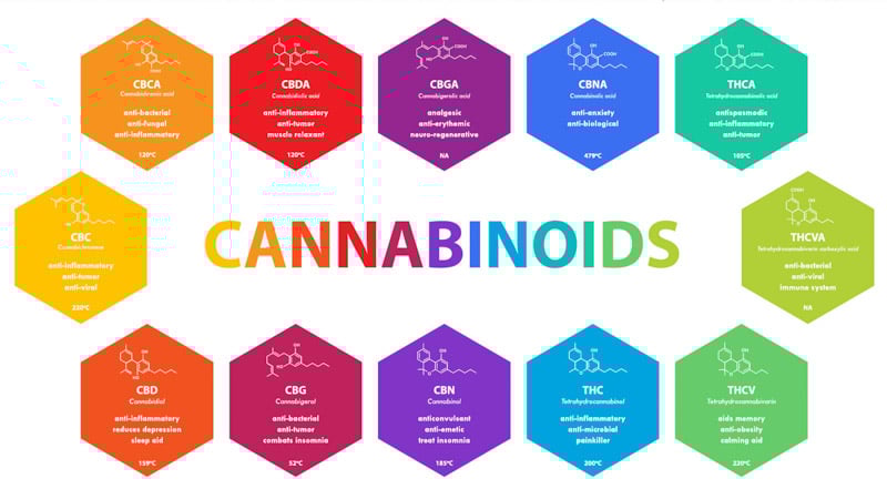 Cannabinoids in full spectrum CBD oil illustration