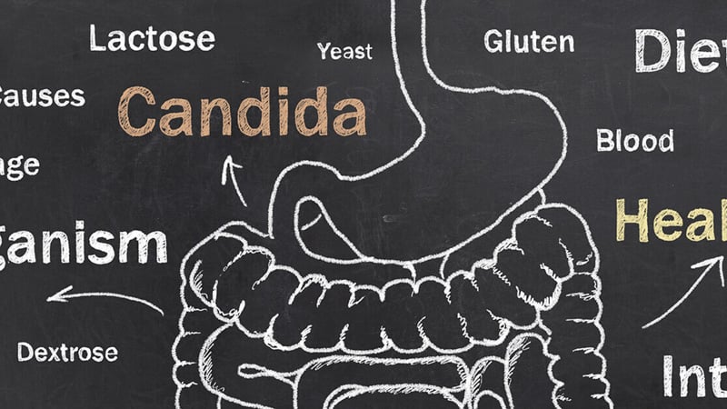 Illustration of human digestive system with arrow pointing to the word Candida