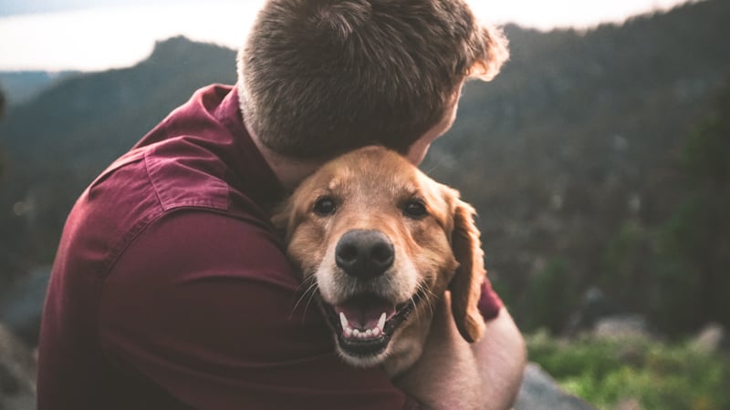 Man hugging a dog on a mountainous view