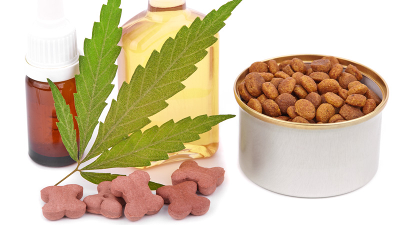 Various types of CBD products for dogs on white background