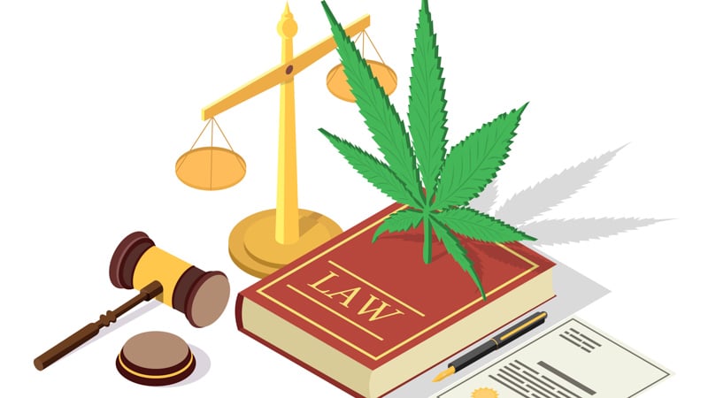 legal symbols Law book with hemp plant leaf, scales of justice