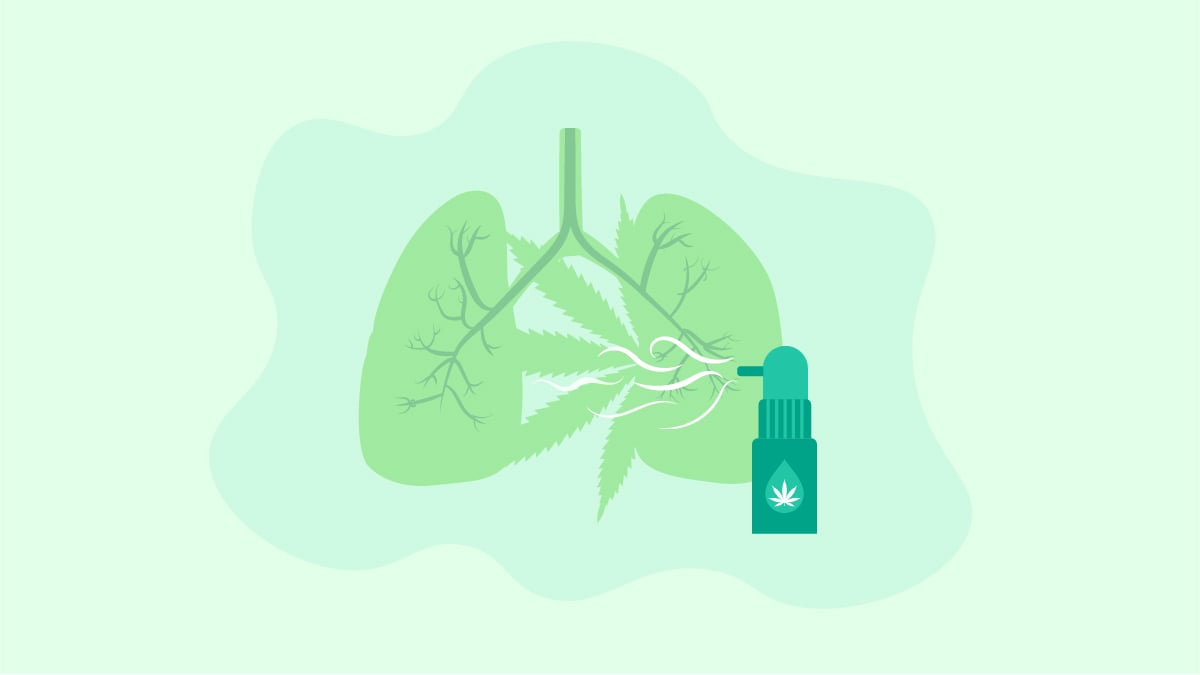 human lung with an inhaler on a green decorated with cbd leaf bacground