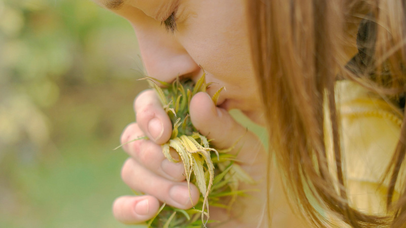 a women smelling CBD hemp flower 