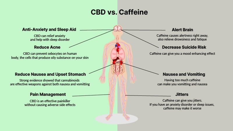 cbd vs caffeine affects on human illustration