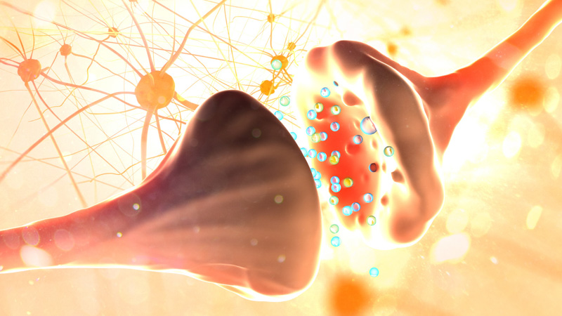 cbd affects ecs illustration