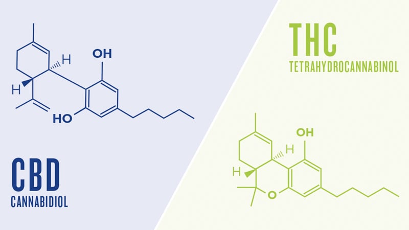 cbd and thc compounds illustration