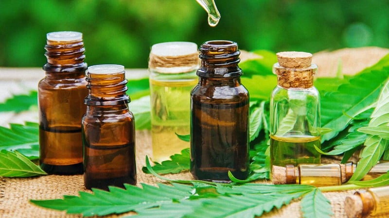 CBD Oil in Bottles with Hemp Plants