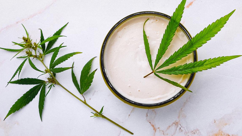 CBD cream and Hemp flower in a white background