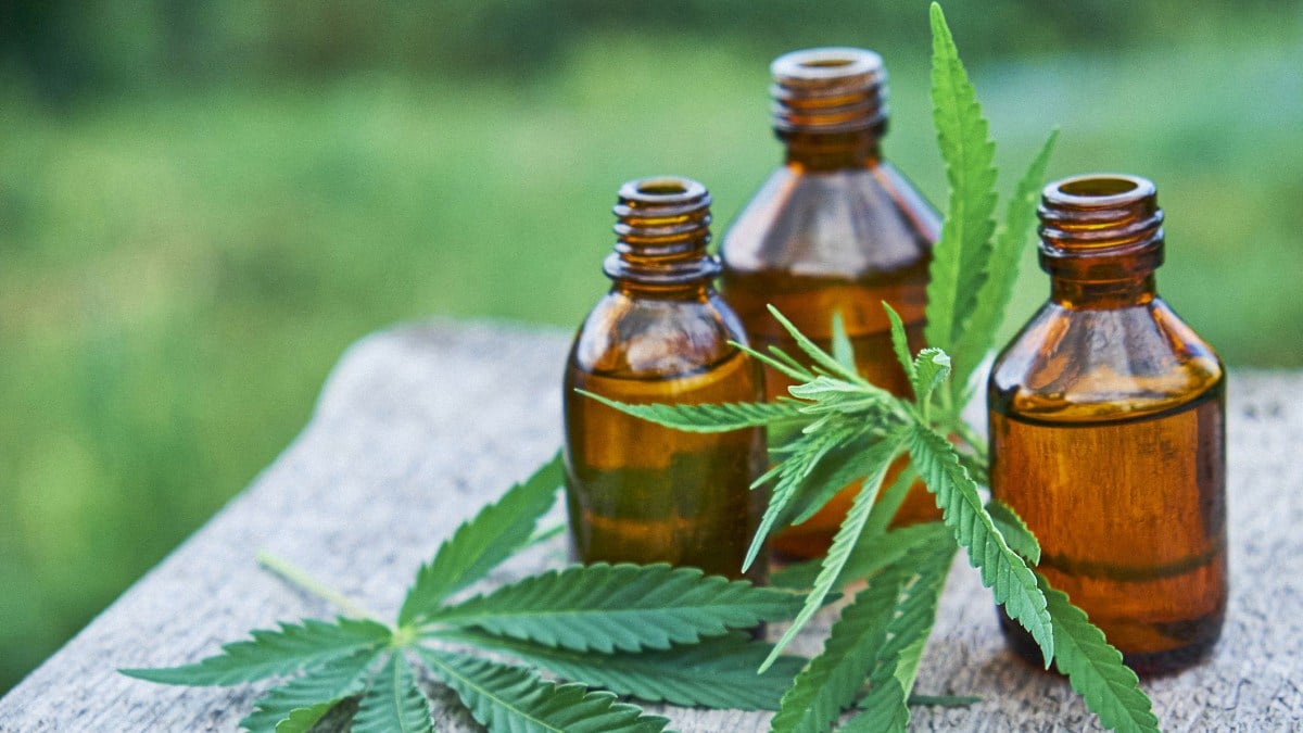 CBD Oil in bottles with Hemp flower