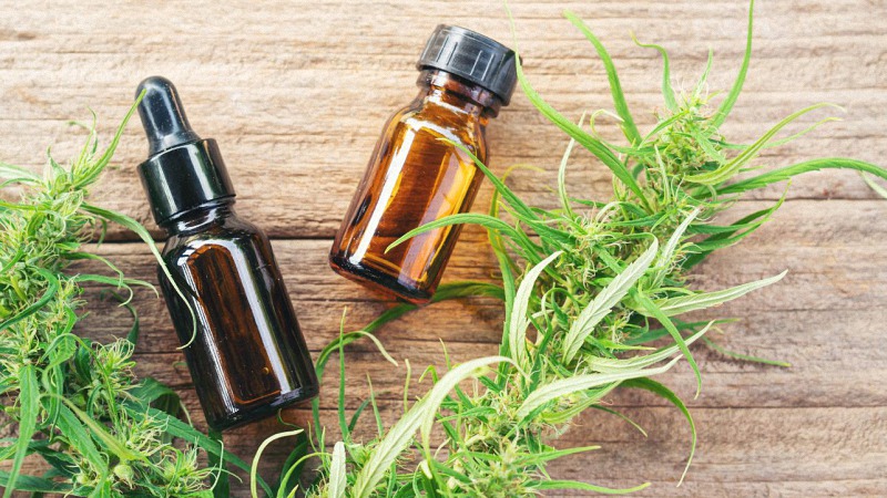 CBD Oil in Bottles with Hemp Plants