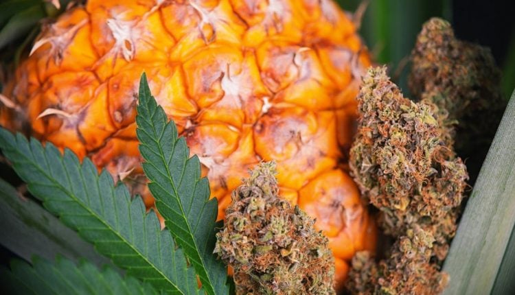 Pineapple express flowers with pineapple in the background