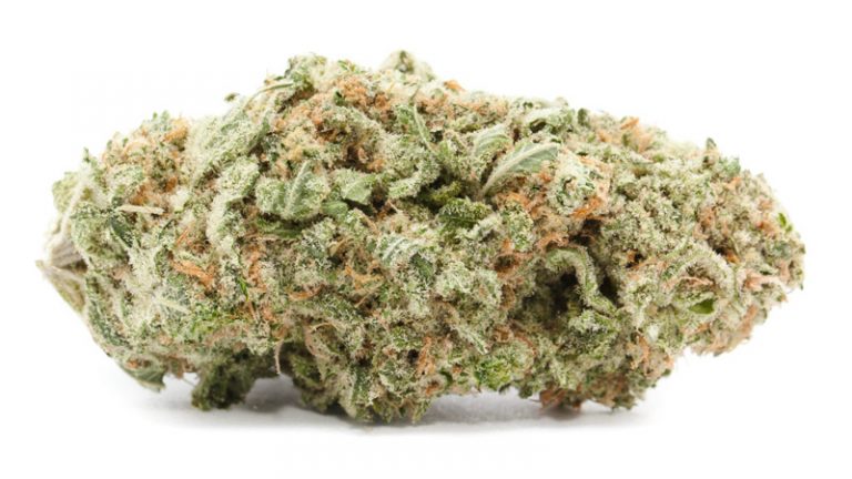 Sunshine Daydream Strain Review: A Relaxing But Pungent High